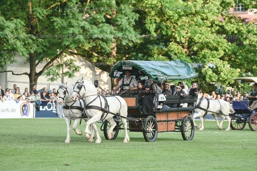 20230526_Pferdenacht_0219 | equistock