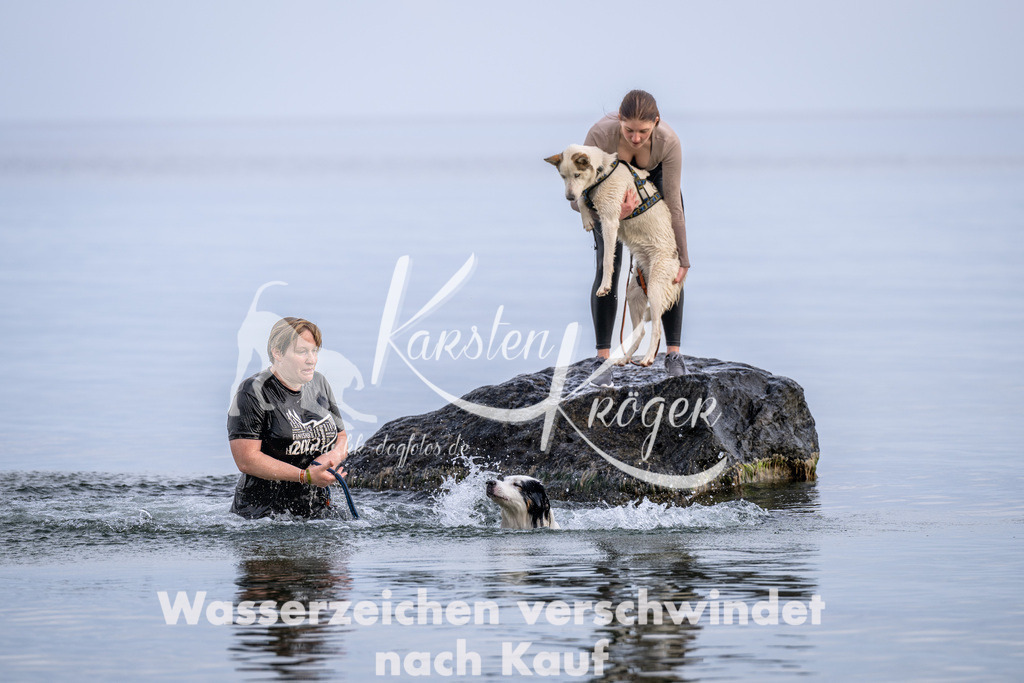 1210_ZZ90071 | kk-dogfotos