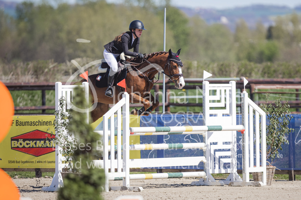 220416_3_A-Springen2-408 | Frühlingsfest der Pferde
Herford
16.April 2022
03/2 Sprigprüfung mit steigenden Anforderungen Kl. A** geschlossen 44-481 RLP