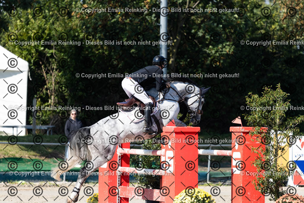 CL5A6424 | Emilia Reinking Fotografie - Realisiert mit Pictrs.com