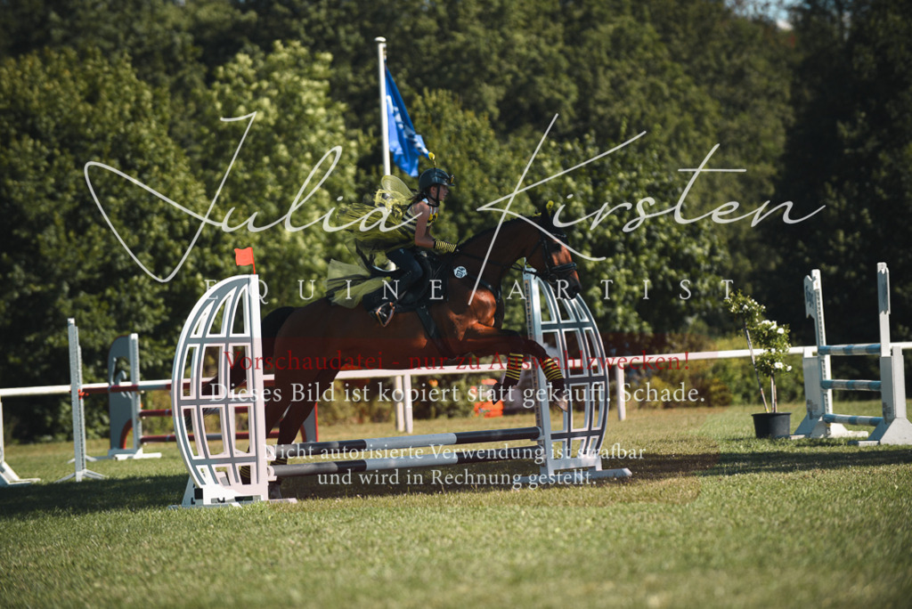 DSC_7485 | Pferde- und Turnierfotografie in Westsachsen. Pferdeportraits, Auftragszeichnungen und intuitive Kunst.