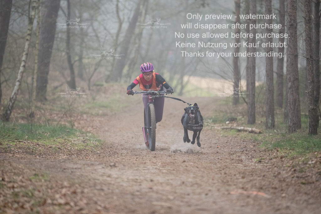 Scooter1-41 | stephaniefillaphotographie - Realisiert mit Pictrs.com