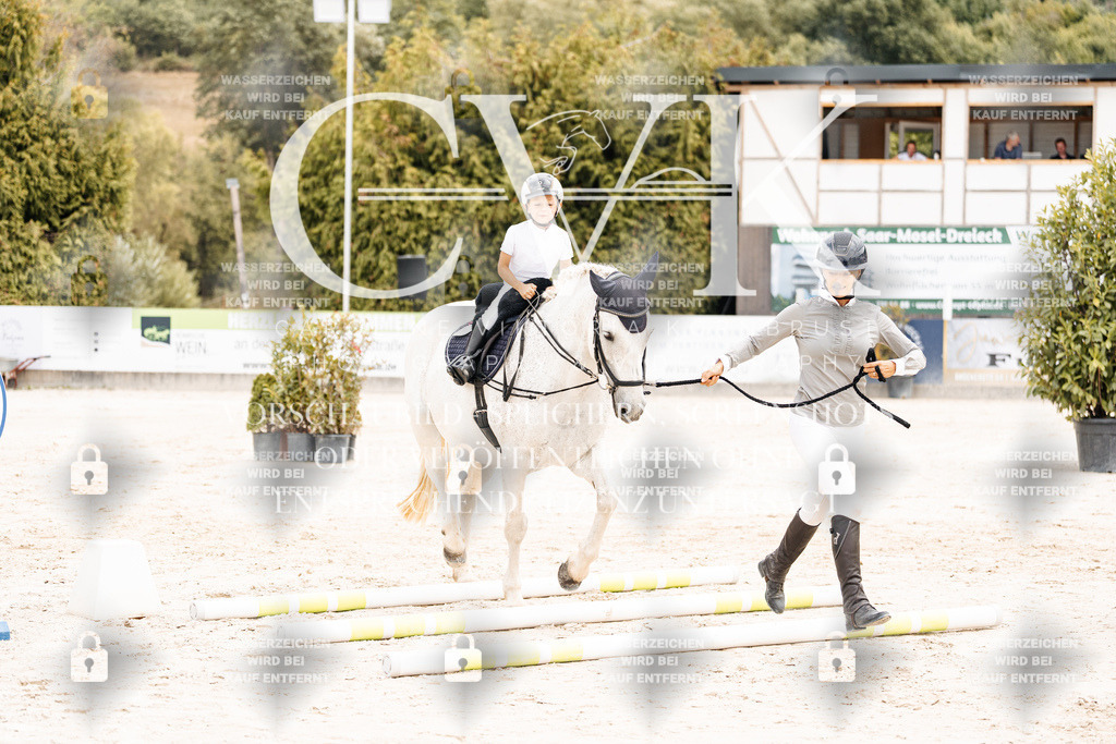CK907154 | Turnierfotografie Pferdefotografie Trier Rheinland-Pfalz Pferdesport Reitsport Tierfotografie Sportfotografie Pferdevideo Pferdevideografie Equestrianvideography equestrianphotography  - Realisiert mit Pictrs.com