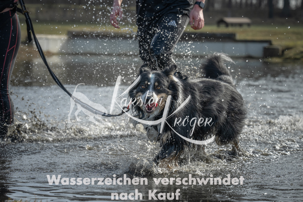 1055_ZZ90672 | kk-dogfotos