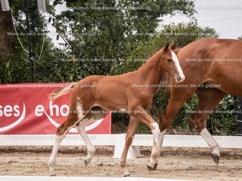 A10I9663 | photographylinaismer - Realisiert mit Pictrs.com