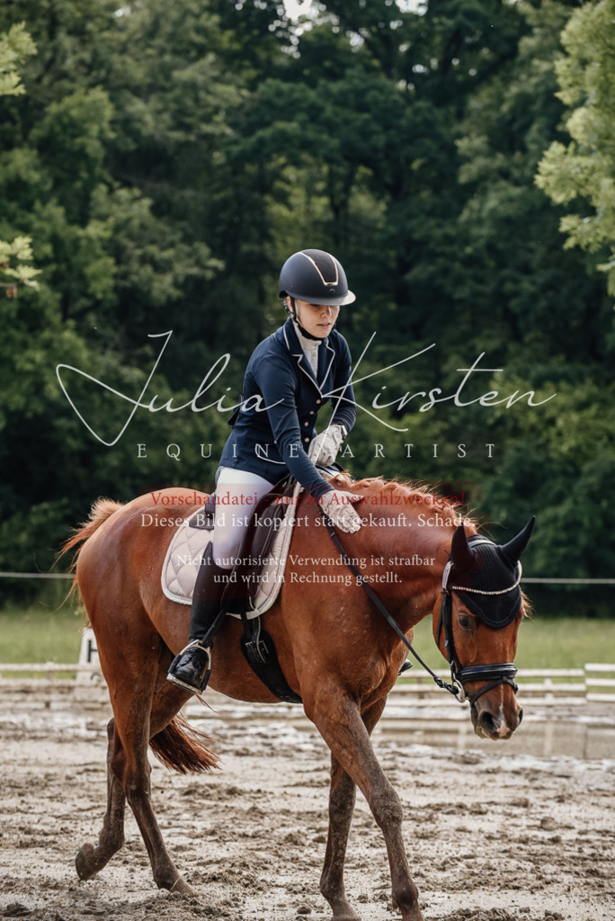 DSC_8978 | Pferde- und Turnierfotografie in Westsachsen. Pferdeportraits, Auftragszeichnungen und intuitive Kunst.