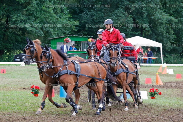 20240818-8958-reitsport-gespannfahren-HEN-FOTO | 18.08.2024 Reitsport Perdesport Deutsche Meisterschaften und Hessische Meisterschaften Gespannfahren in Herchenrode hier Kegelfahren für Vierspänner Pony Klasse S Sieger und erneut Deutscher Meister Steffen BRAUCHLE (PSV Schloß Kapfenburg) (Foto: Peter Henrich) - Realisiert mit Pictrs.com