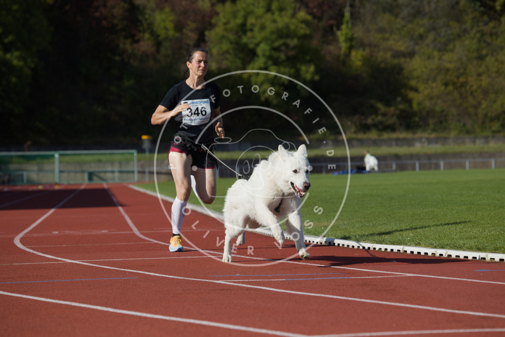 0L8A9408 | Hundefotografie, Tierfotograf, Pfotenfotografie, Fotoshooting Hund, Hunde Portrait, Hundesport, Hundeportraits, Heideshooting, Hunde, Sportfotograf, Hundefotograf, Turnierhundsport, THS,  - Realisiert mit Pictrs.com