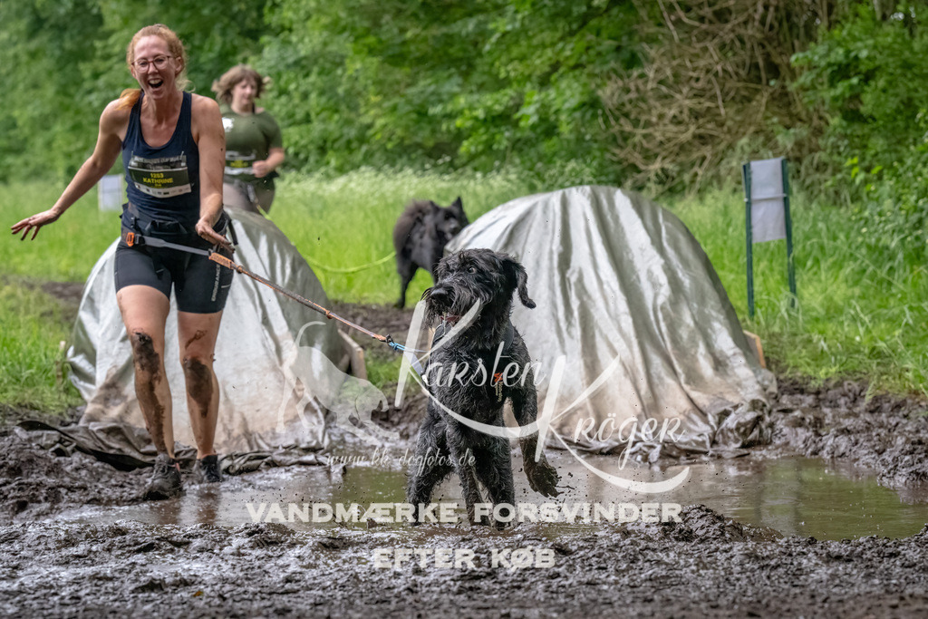 1603_ZZ91981-Bearbeitet | kk-dogfotos