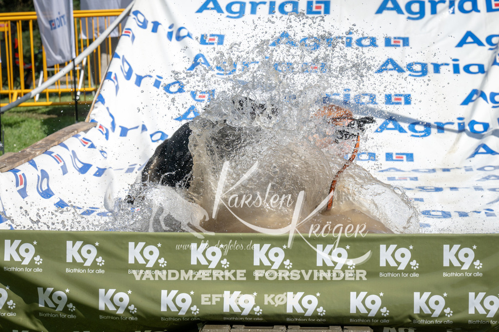 1215_ZZ95719 | kk-dogfotos
