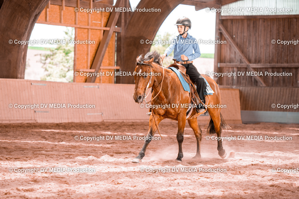 NE200689 | dv-media-shop - Realisiert mit Pictrs.com