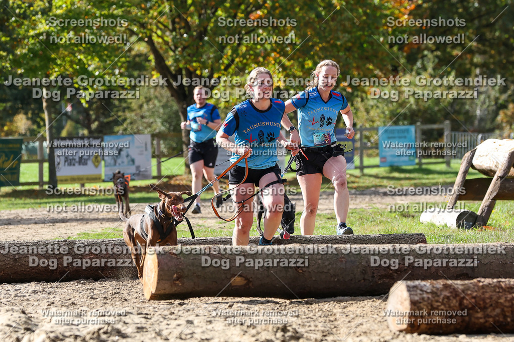 Dog Paparazzi - Strongdog 10-25-5398 | Dog Paparazzi Jeanette Grottendiek Fotografie & Videografie - Realisiert mit Pictrs.com