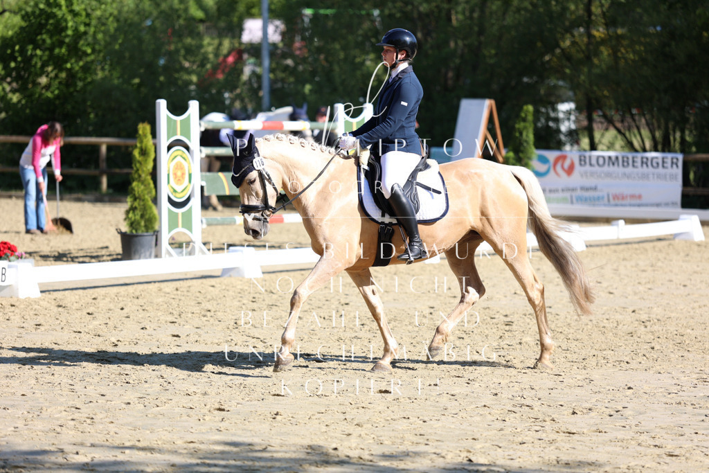 IMGT9680 | pl-fotografie