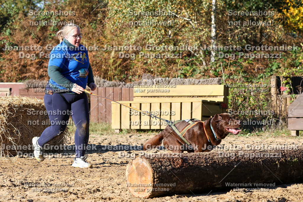 Dog Paparazzi - Strongdog 10-25-1667 | Dog Paparazzi Jeanette Grottendiek Fotografie & Videografie