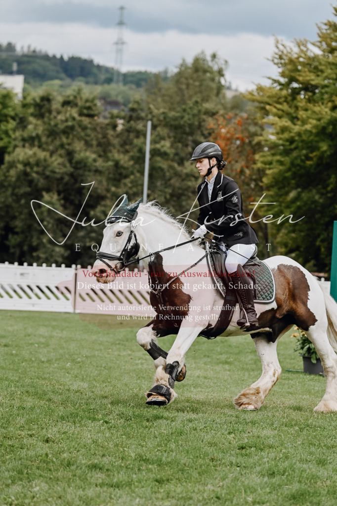 DSC_6746 | Pferde- und Turnierfotografie in Westsachsen. Pferdeportraits, Auftragszeichnungen und intuitive Kunst.
