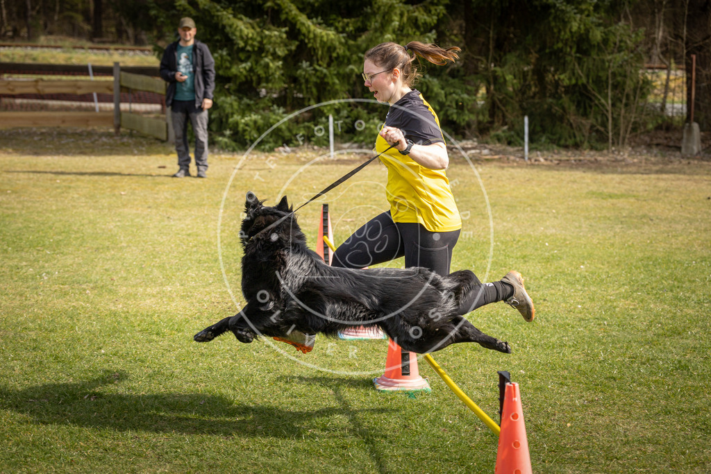 Pfotenfotografie_DV3A9584 | Hundefotografie, Tierfotograf, Pfotenfotografie, Fotoshooting Hund, Hunde Portrait, Hundesport, Hundeportraits, Heideshooting, Hunde, Sportfotograf, Hundefotograf, Turnierhundsport, THS,  - Realisiert mit Pictrs.com