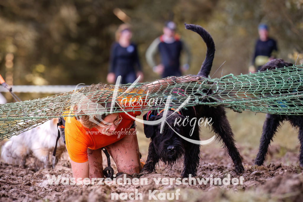 1246_ZZ91061 | kk-dogfotos