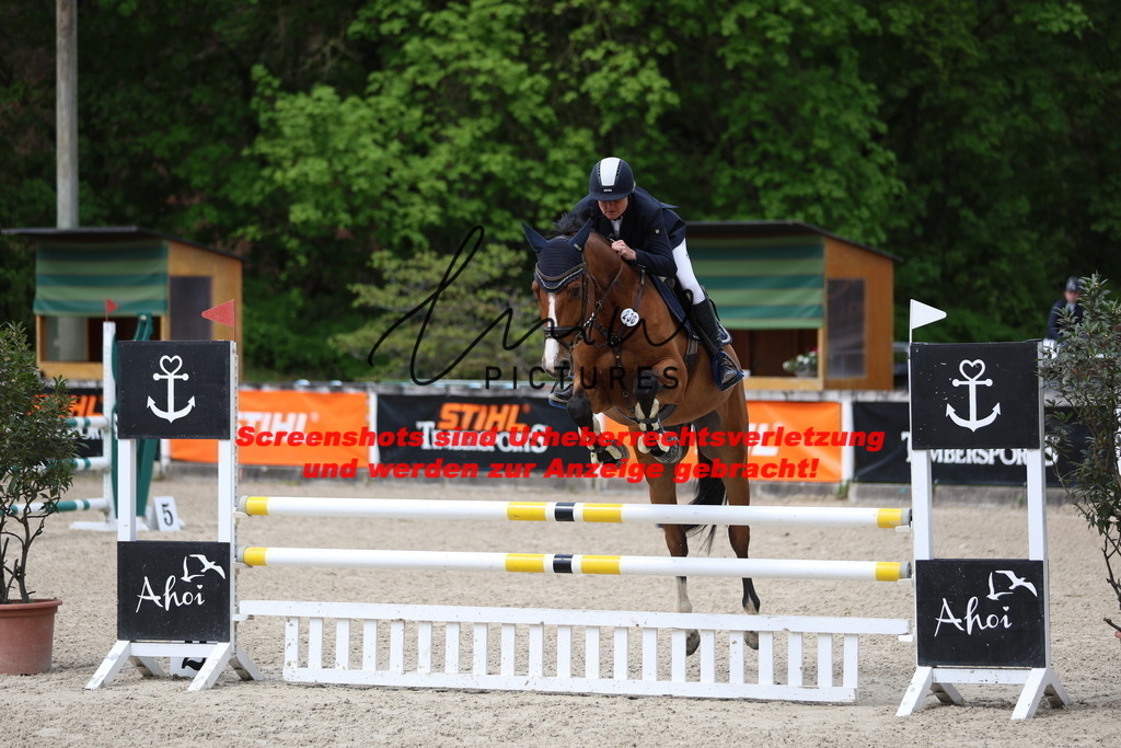 A40A1916 | lmwpictures - Realisiert mit Pictrs.com