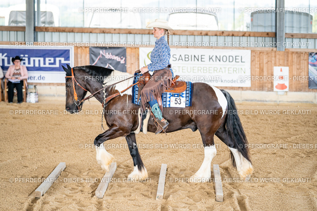 DSC02294 | Pferdegrafie