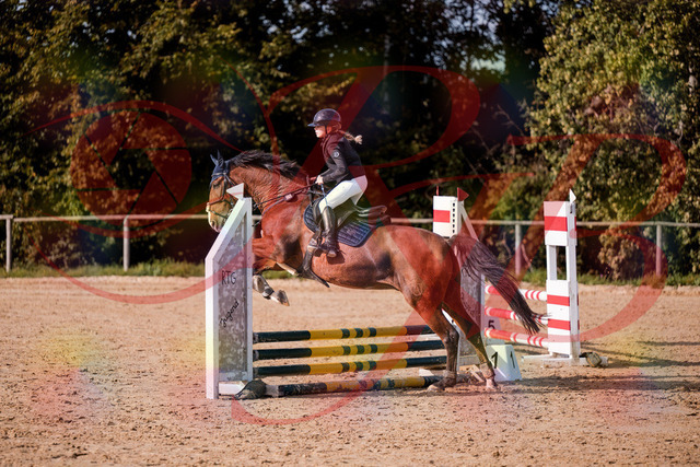 2026_10_03_Siefer-Hof_154625_Z81_64900556 | Professionelle Reitsport-, Turnier- und Eventfotografie von Robert Broda. Galerien mit ausgewählten und bearbeiteten Bildern direkt online ansehen und bestellen.
