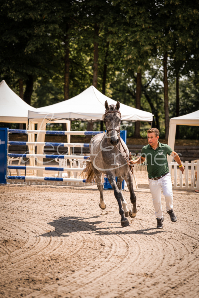 1.Fr00027 | Leoni Ertmer Photography - Realisiert mit Pictrs.com