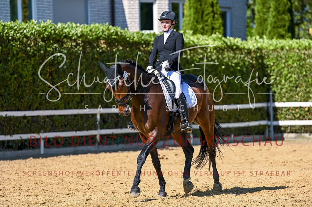 Schugtsche-Aluta25-50.Dressurpferdeprf.L-161 | Schugtsche Fotografie - Realisiert mit Pictrs.com