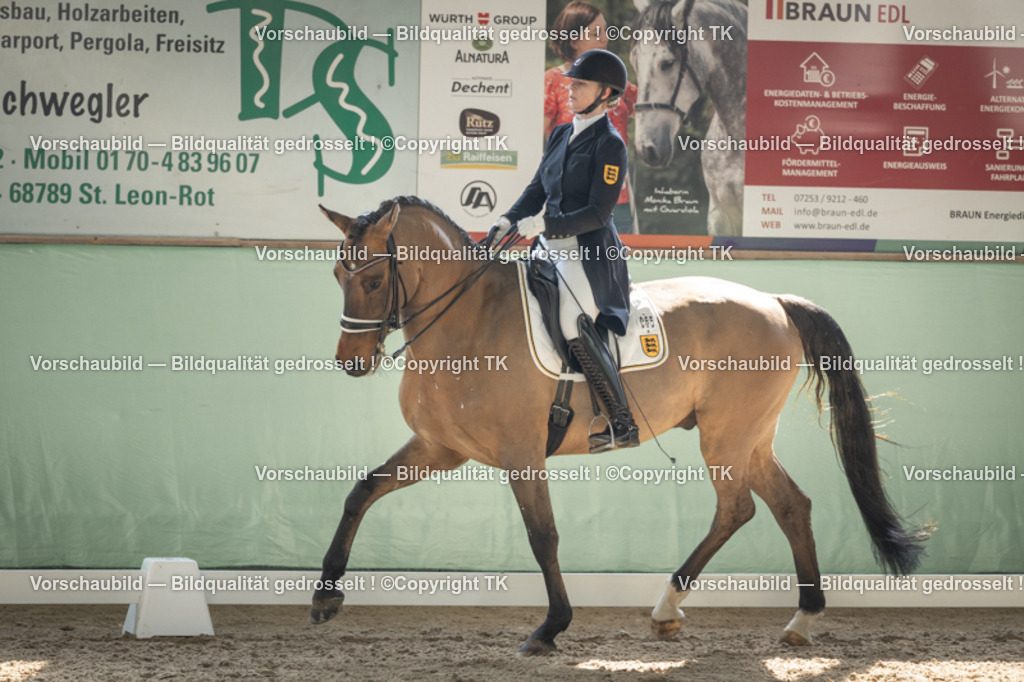 _D5A2305 | Emotionale Pferde- & People-Fotografie rund um Heidelberg, Leimen & Umgebung. Natürliche Fotos von Pferd, Mensch & Familie. Jetzt Termin sichern!