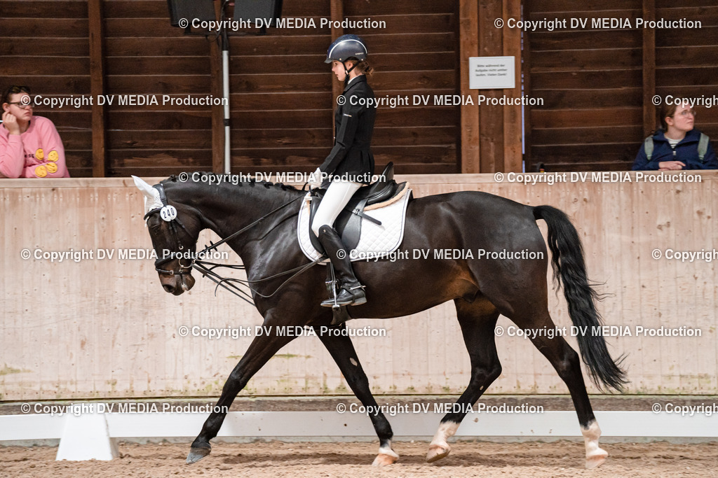 Dressur Tag 2-428 | dv-media-shop - Realisiert mit Pictrs.com