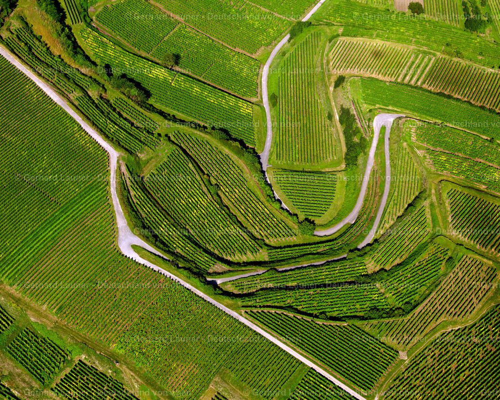 2700047 | Weinbergstrukturen am Kaiserstuhl