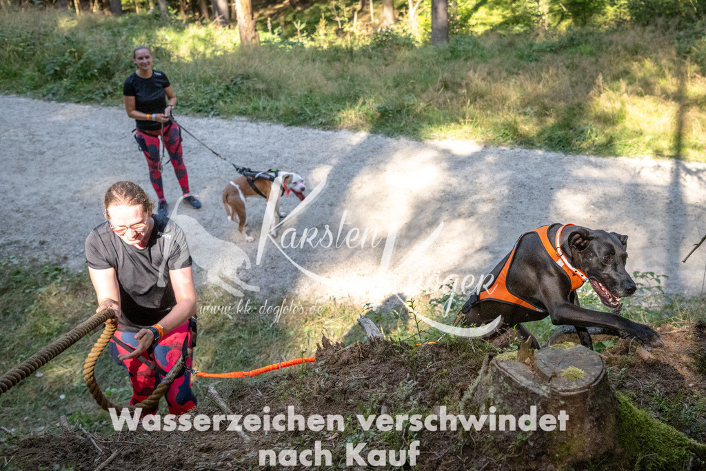 1115_ZZ90307 | kk-dogfotos