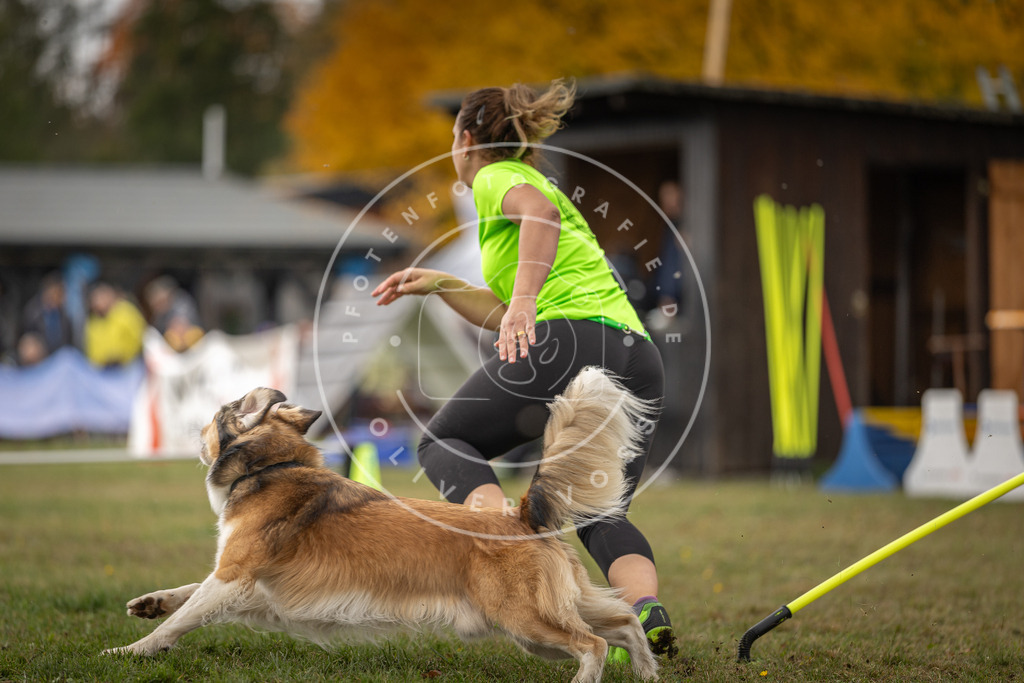 Pfotenfotografie_DV3A6825 | Hundefotografie, Tierfotograf, Pfotenfotografie, Fotoshooting Hund, Hunde Portrait, Hundesport, Hundeportraits, Heideshooting, Hunde, Sportfotograf, Hundefotograf, Turnierhundsport, THS,  - Realisiert mit Pictrs.com