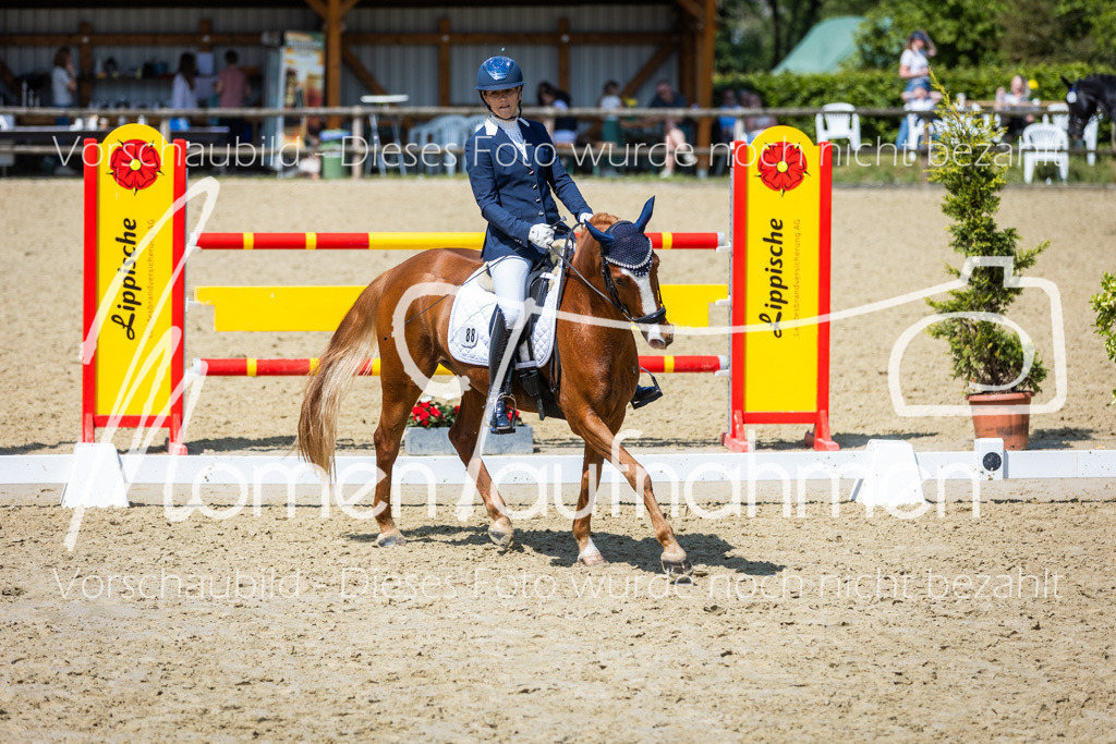 Donop24-L-Dre-082 | MomenTaufnahmen Pferdesportfotos