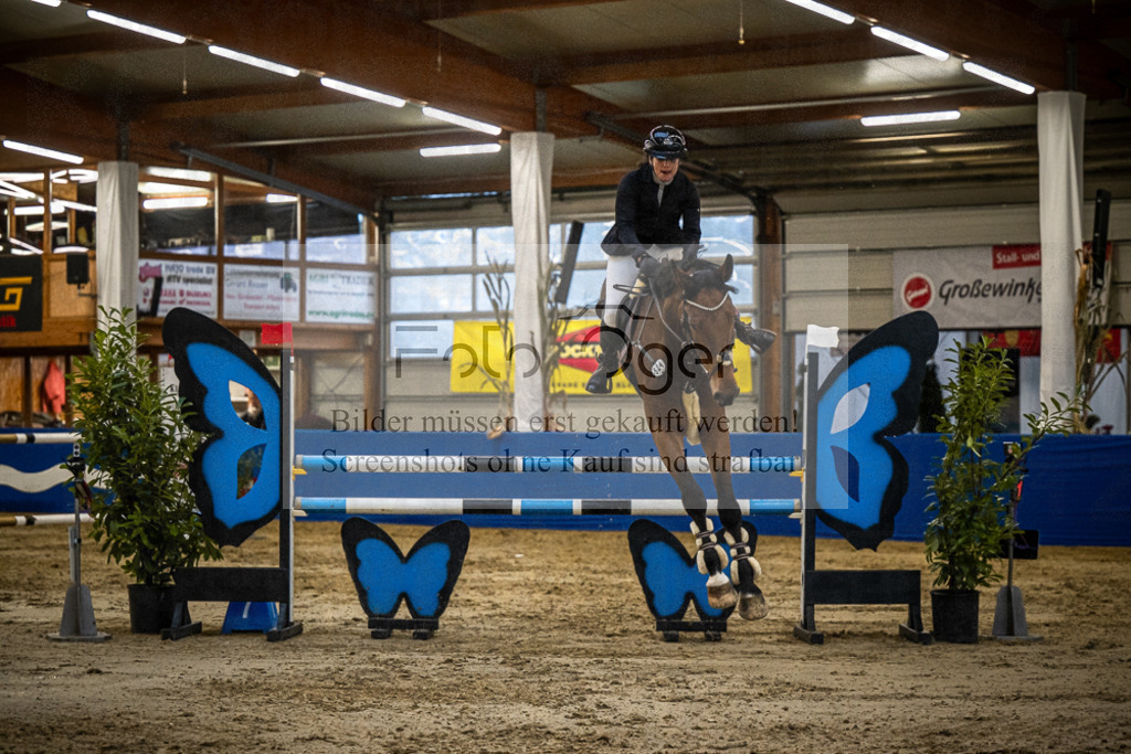 DOS_B1014 | Entdecke hochwertige Reitturnierfotos von Foto Oger. Professionell, emotional und authentisch – jetzt Lieblingsmomente im Shop bestellen.Deutschlandweite Turnierfotografie. - Realisiert mit Pictrs.com