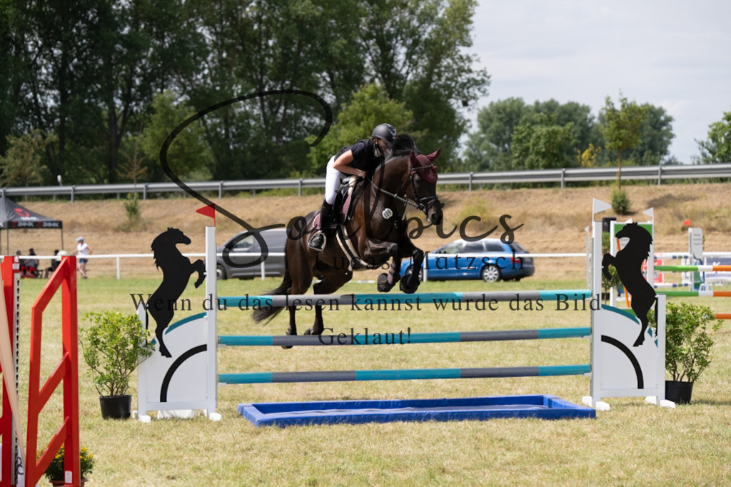 A7V02033 | Pferdefotograf