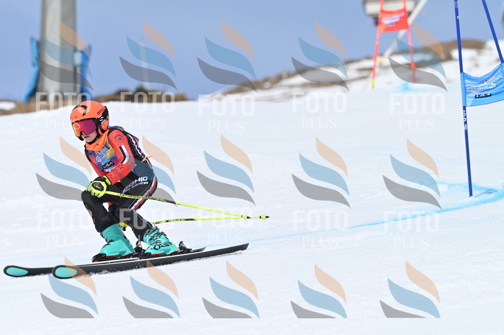 BGV_2155 | holidayphoto