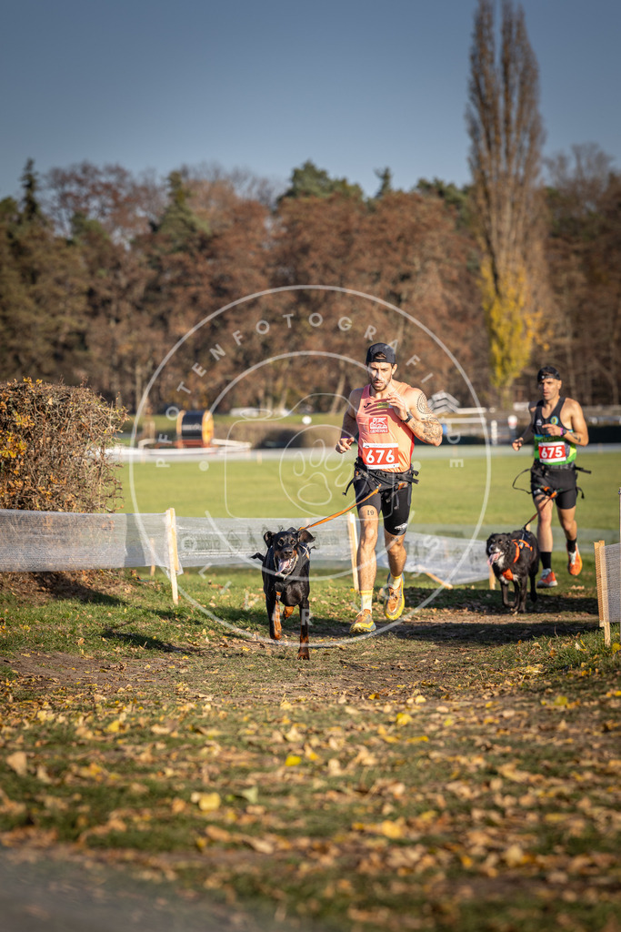 CaniXpix_DV3A0935 | Hundefotografie, Tierfotograf, Pfotenfotografie, Fotoshooting Hund, Hunde Portrait, Hundesport, Hundeportraits, Heideshooting, Hunde, Sportfotograf, Hundefotograf, Turnierhundsport, THS,  - Realisiert mit Pictrs.com