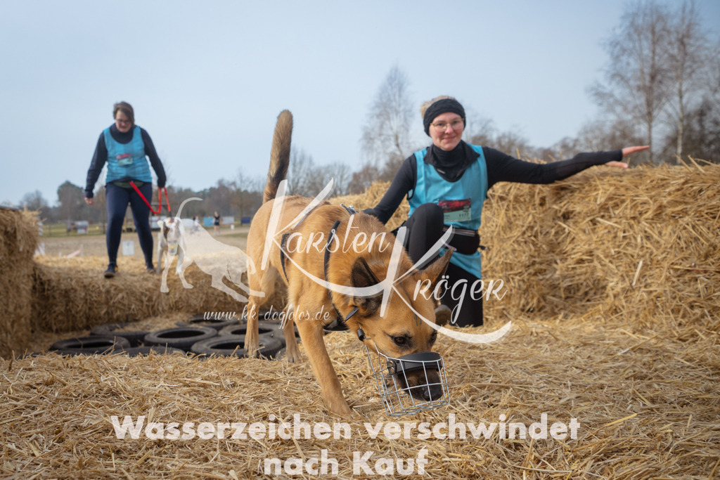 1016_ZZ93267 | kk-dogfotos