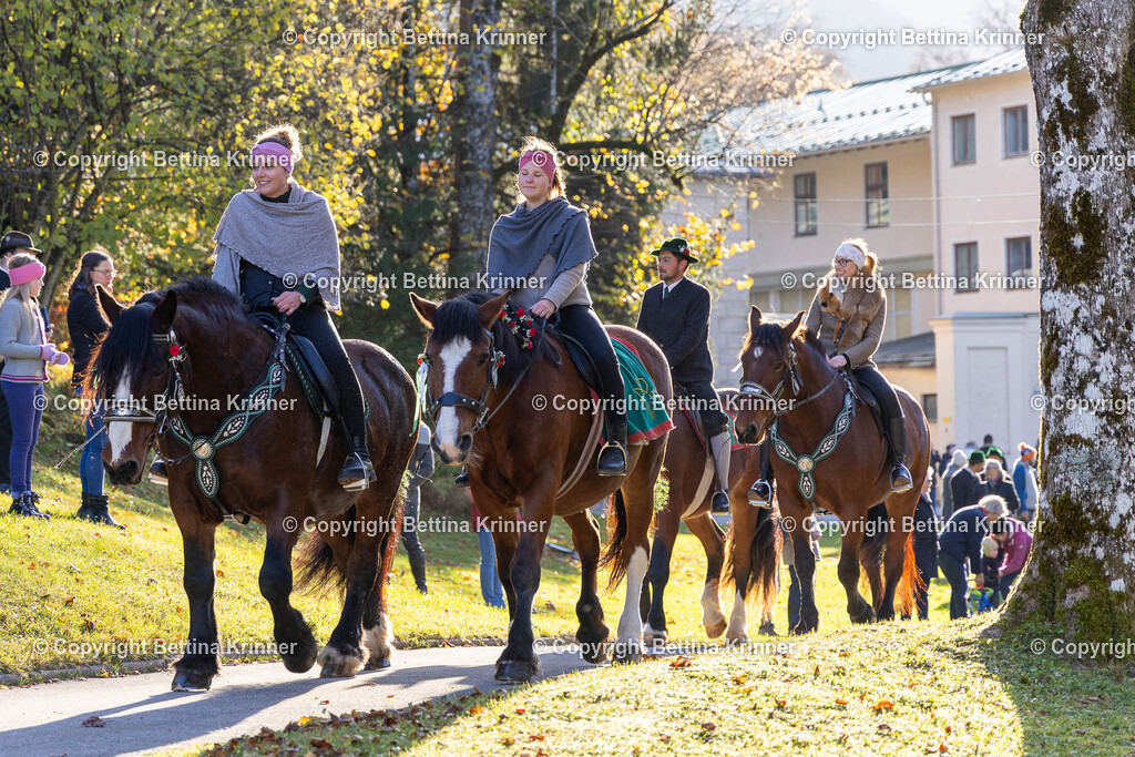 LL24-234 | foto-bettina-krinner - Realisiert mit Pictrs.com
