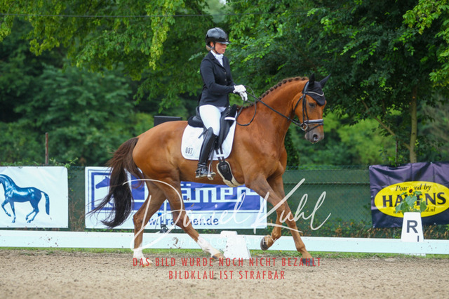 DKP40284 | Turniersportfotografie; Pferdefotografie; Dressurfotografie