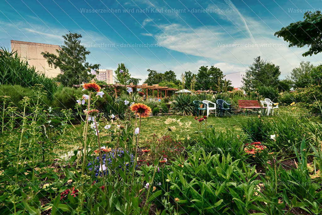 Leipzig Grünau – Kolonnadengarten Grünau (Sommer 2021) | Leipzig Grünau – Kolonnadengarten Grünau (Sommer 2021) - Realisiert mit Pictrs.com