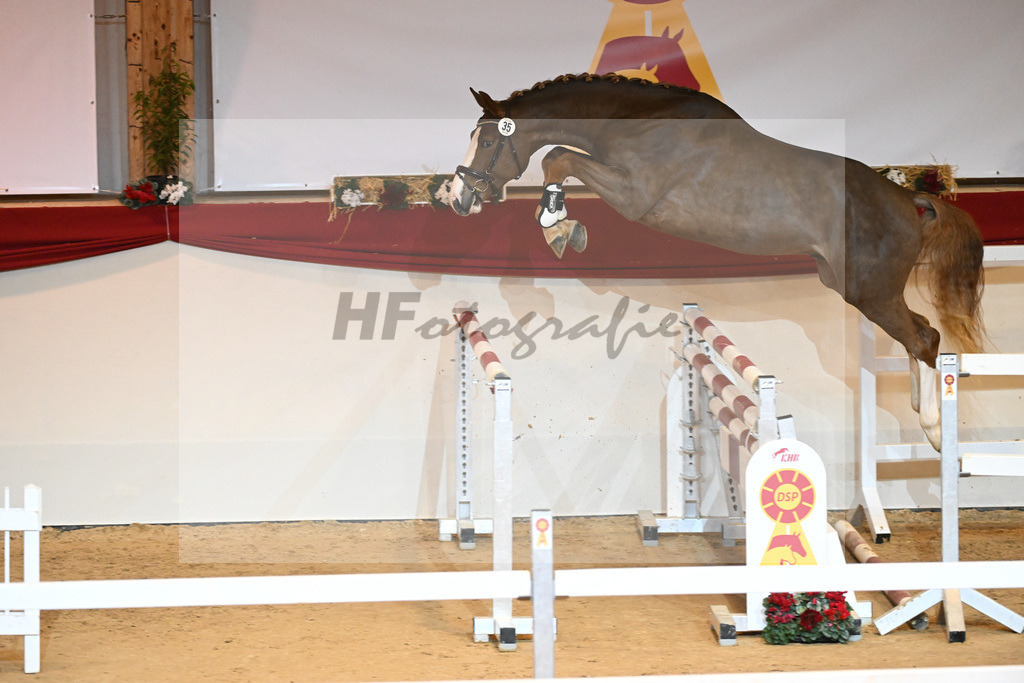 Kat-Nr. 35 Varihoka du Temple_Hecker_1231062 | hf-fotografie - Realizzato con Pictrs.com