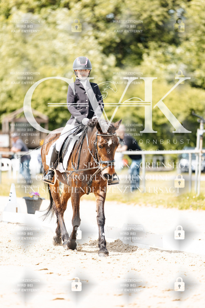 CK901770 | Turnierfotografie Pferdefotografie Trier Rheinland-Pfalz Pferdesport Reitsport Tierfotografie Sportfotografie Pferdevideo Pferdevideografie Equestrianvideography equestrianphotography  - Realisiert mit Pictrs.com