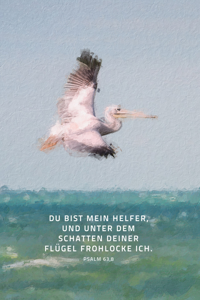 Du bist mein Helfer, und unter dem Schatten deiner Flügel frohlocke ich.Ps 63,8 (L) | Monatsspruch August 2023