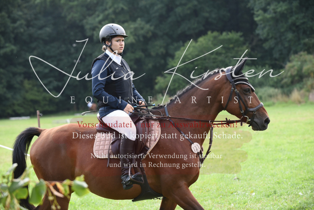 DSC_8607 | Pferde- und Turnierfotografie in Westsachsen. Pferdeportraits, Auftragszeichnungen und intuitive Kunst.