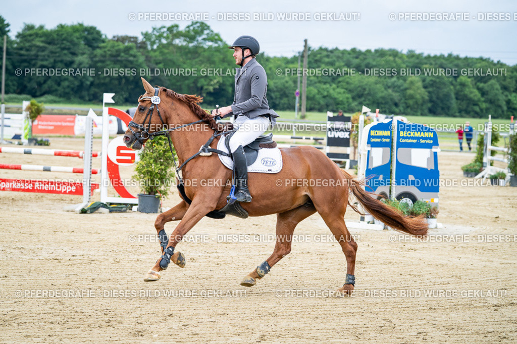 DSC03654 | Pferdegrafie