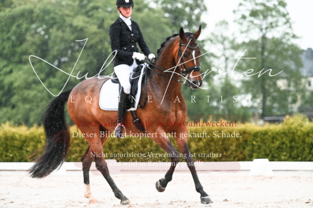 DSC_4597 | Pferde- und Turnierfotografie in Westsachsen. Pferdeportraits, Auftragszeichnungen und intuitive Kunst.