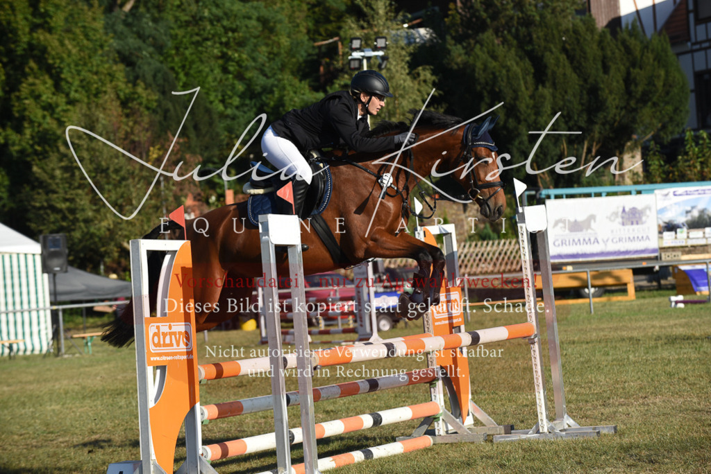 DSC_4976 | Pferde- und Turnierfotografie in Westsachsen. Pferdeportraits, Auftragszeichnungen und intuitive Kunst.