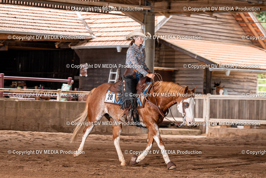 Erbach Tag 3-1412 | dv-media-shop - Realisiert mit Pictrs.com