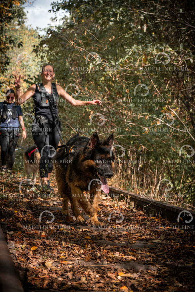 madeleinebirr.fotografie.2026.cc.hunsrueck.12-13Uhr.293 | hundefotografie-birr