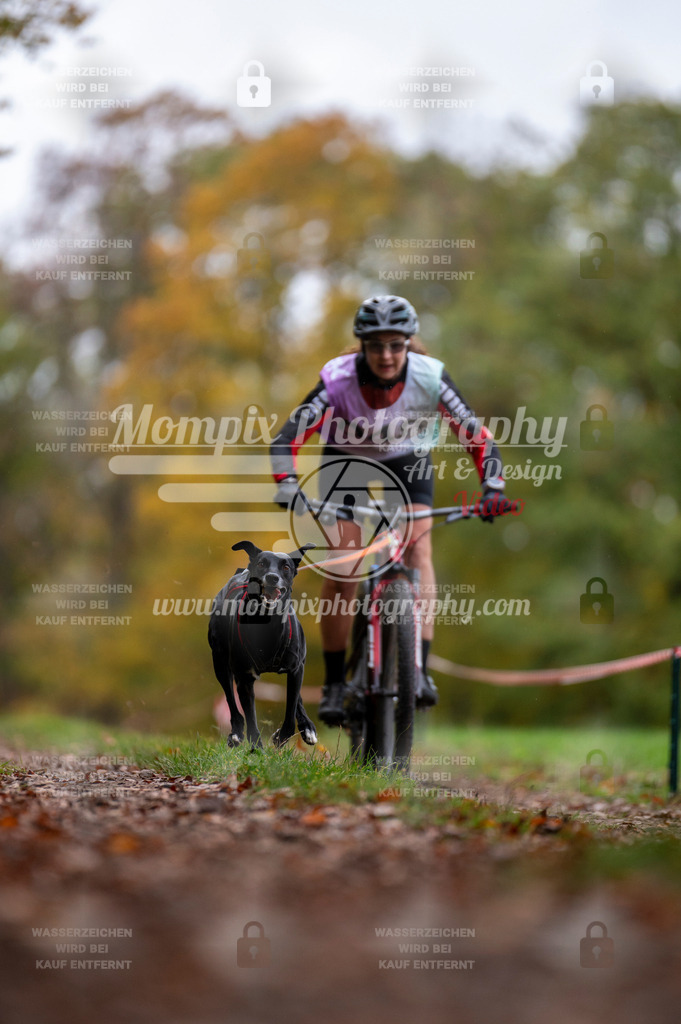 DBT_DAKM_SA_4_11_2023_Bike-57 | PayLife